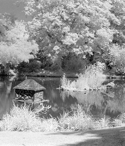 infrarouge,paysage,landscape,infrared